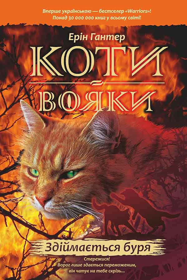 E-book. Коти-вояки. Книга 4. Здіймається буря - зображення