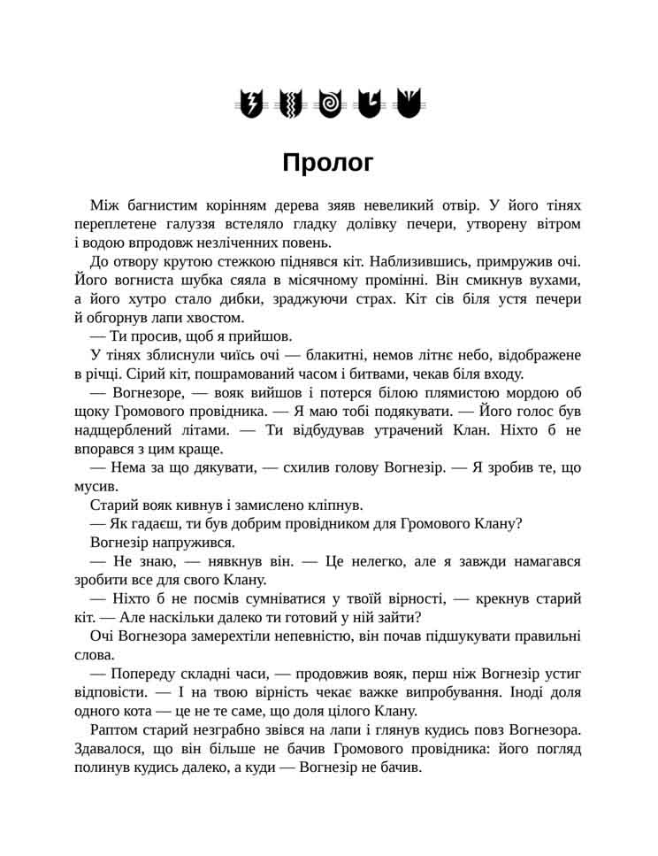 E-book. Коти-вояки. Сила трьох. Книга 1. Прозір - інші зображення