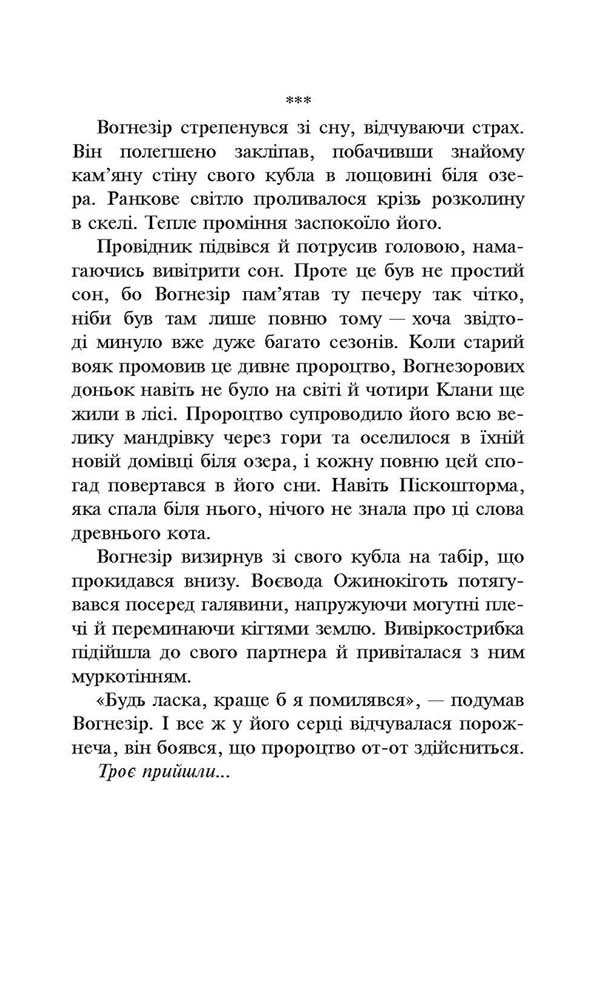 Коти-вояки. Сила трьох.  Книга 1. Прозір - інші зображення